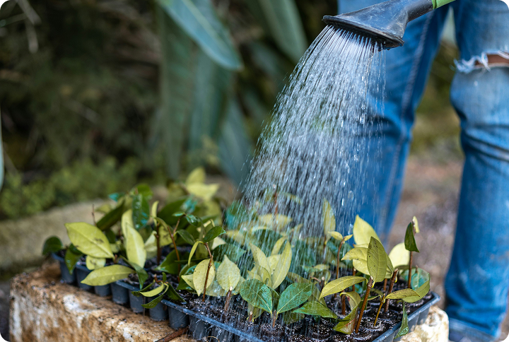 Wij maken het simpel  om mee te doen